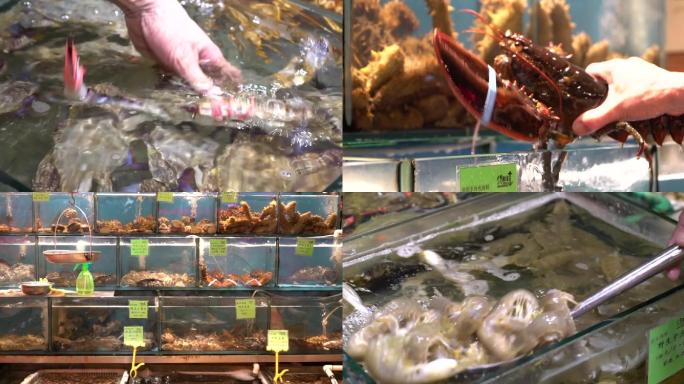 饭店素材-鲜活海鲜-海参鲍鱼海鲜大虾