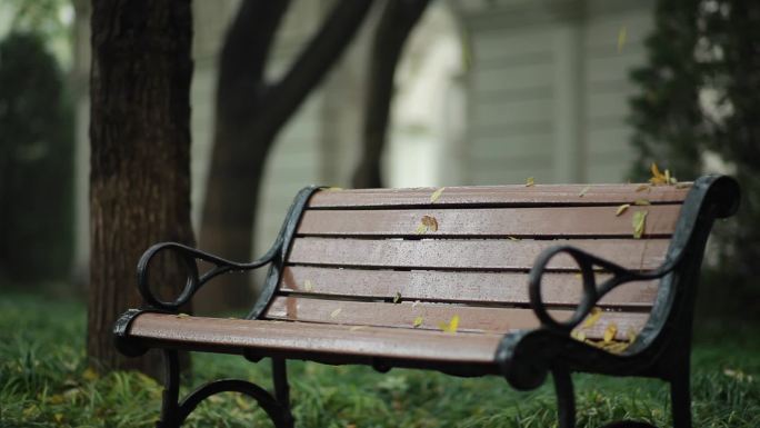 细雨中的长椅和落叶