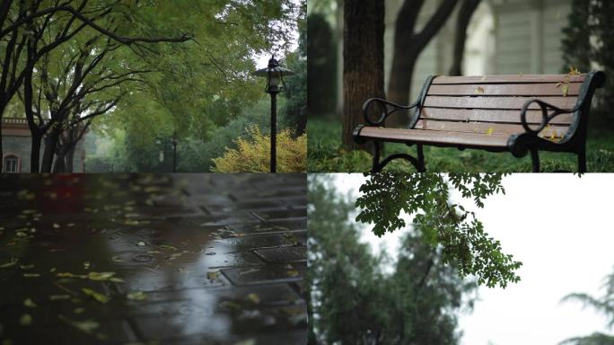 细雨中的长椅和落叶