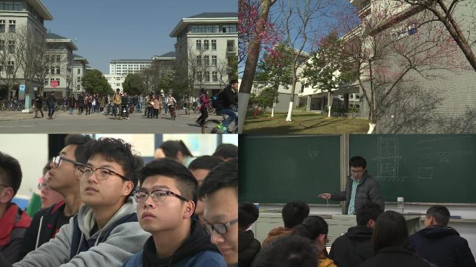 大学课堂大学教学楼大学生大学教授