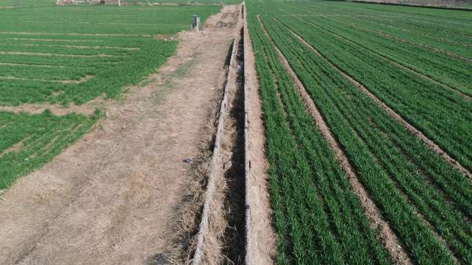 农田灌溉水利设施（4K50帧）