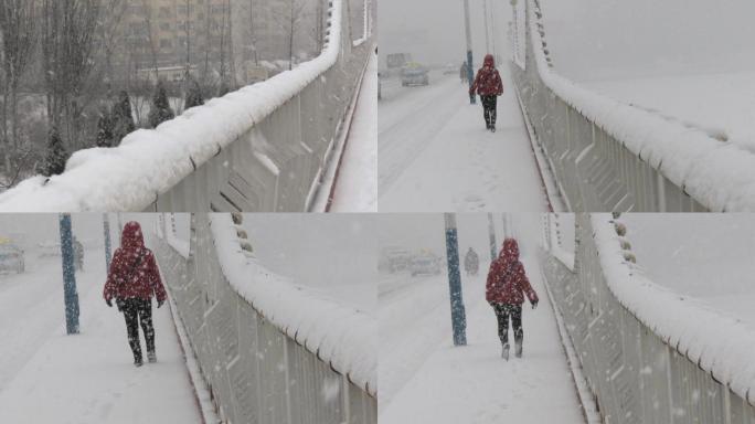 三月迎春的大雪实景实拍