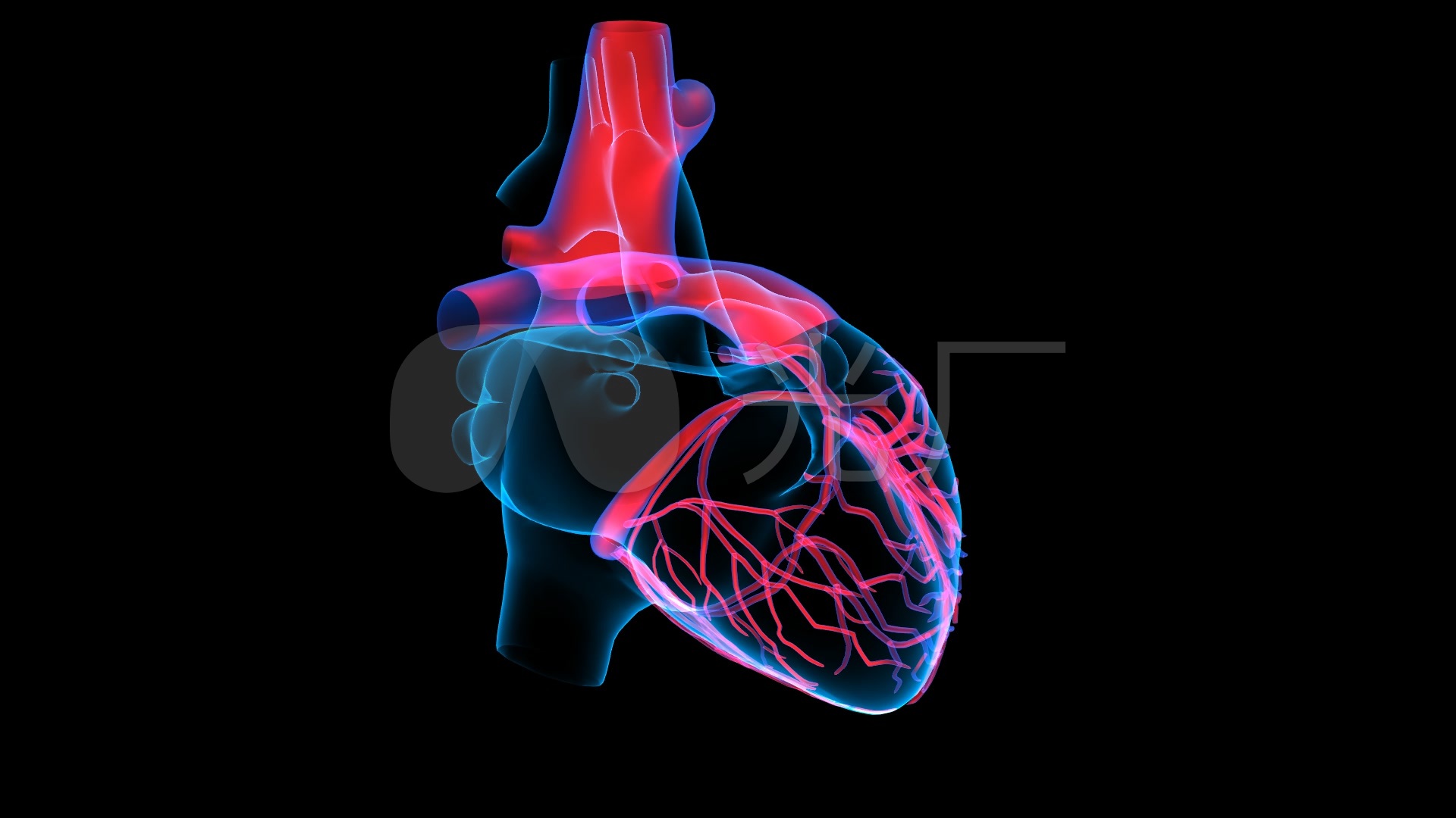 3d透视心脏hud(带透明通道)