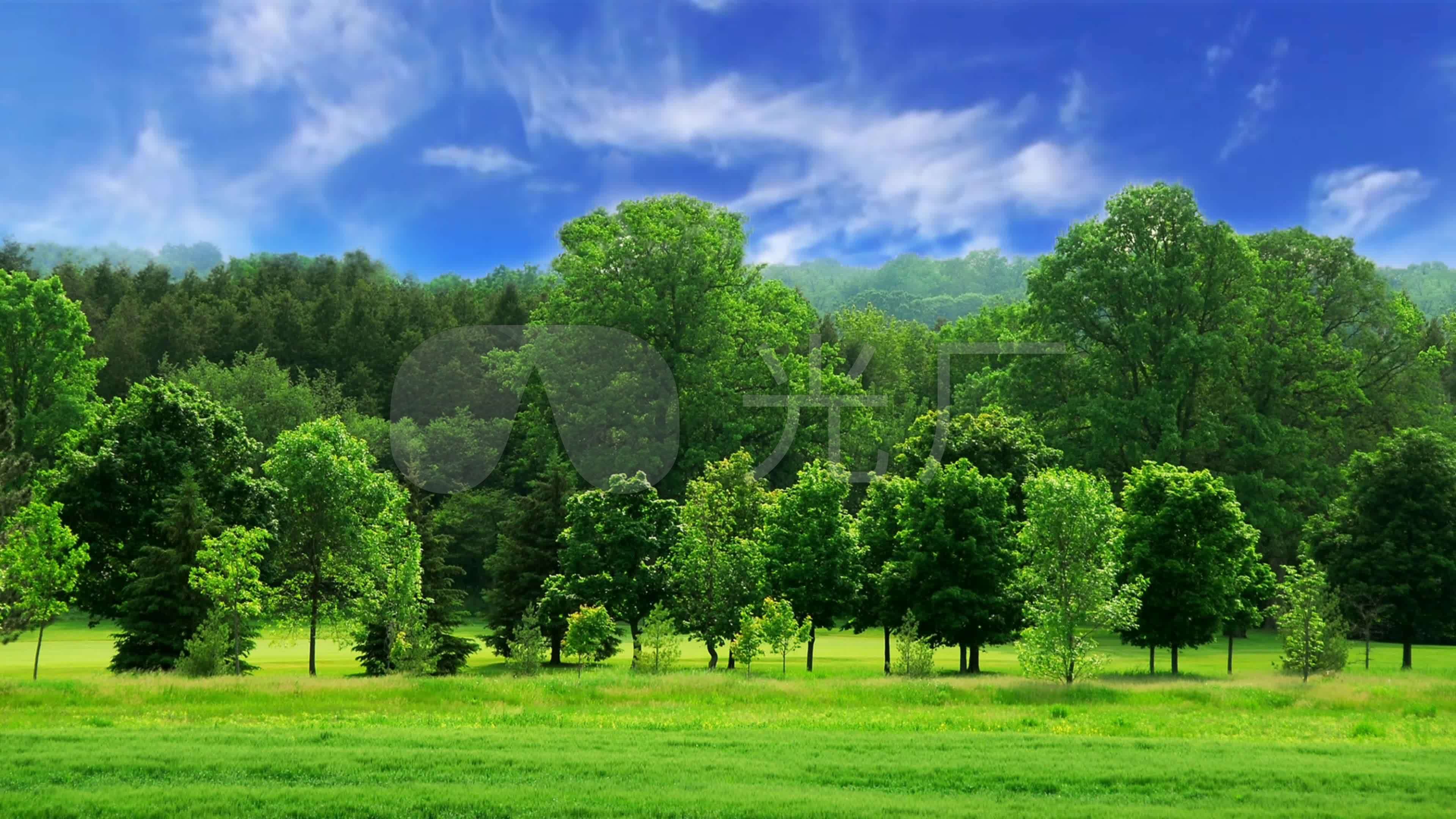 绿色森林舞台背景_3840x2160_高清视频素材下载(编号:4377546)_舞台