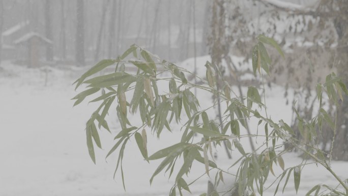 农村雪景冬天烟筒竹子4k