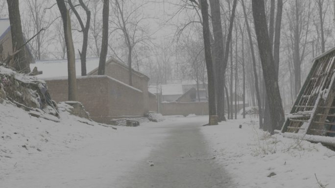 雪中的村庄