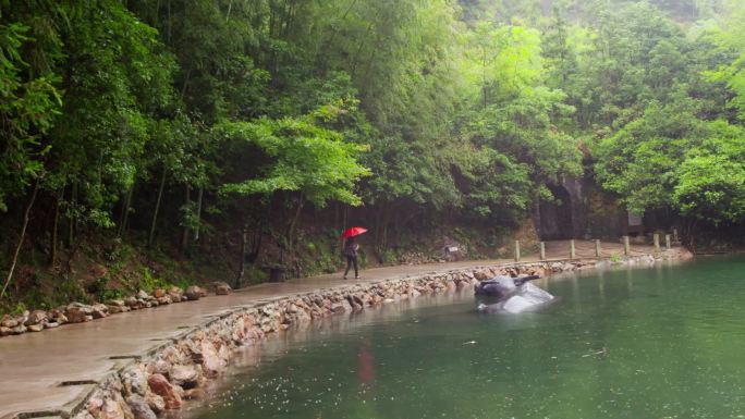 雨中的红伞