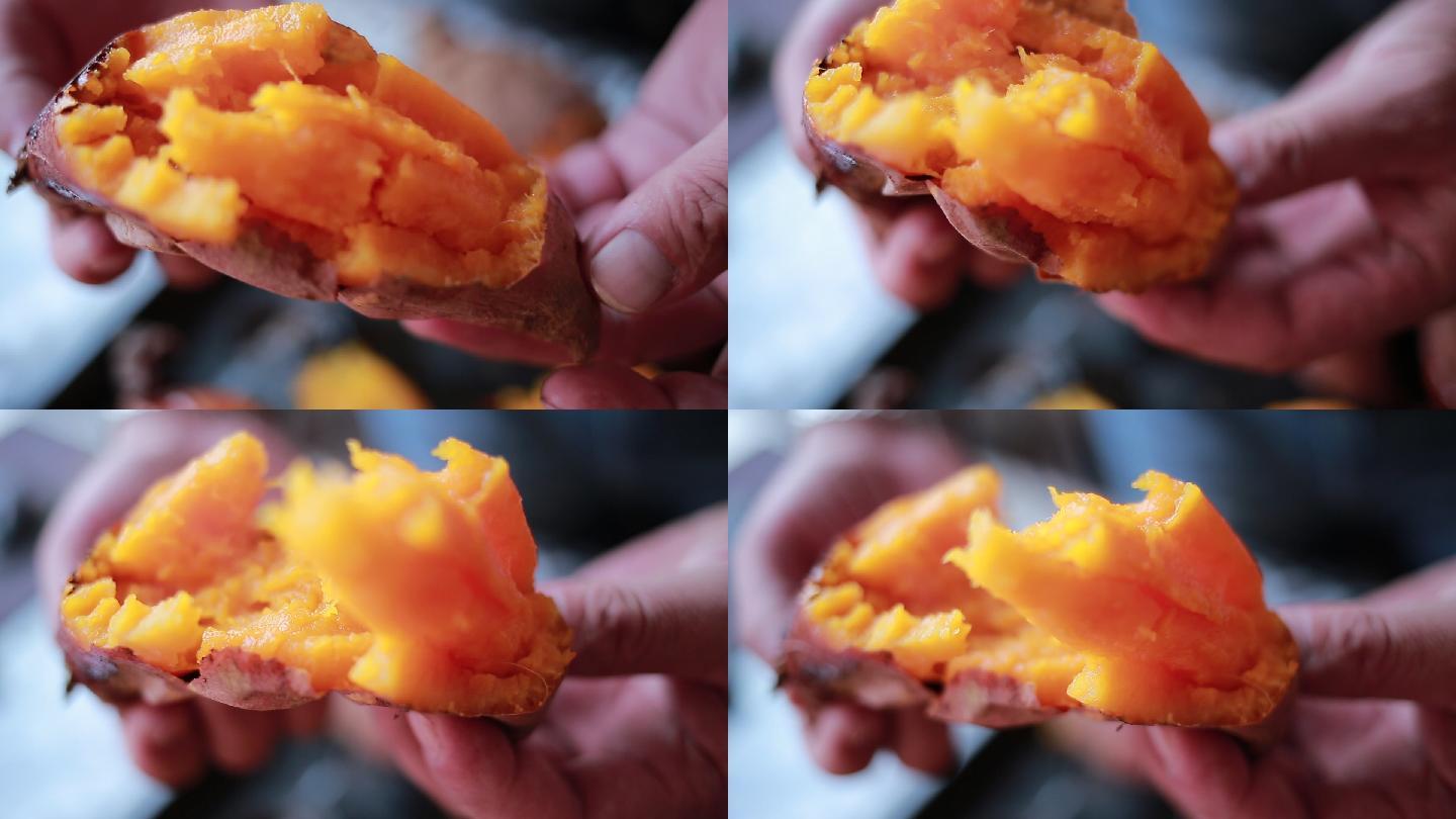 烟薯25实拍素材视频 蜜薯