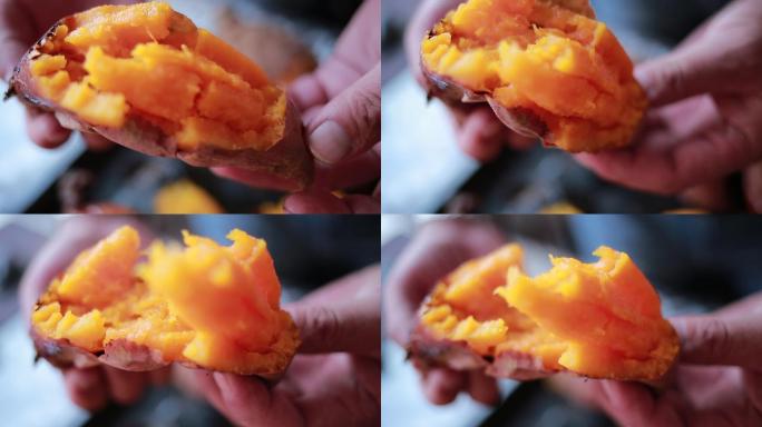 烟薯25实拍素材视频 蜜薯