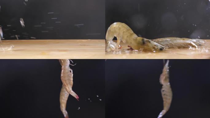 虾的展示实拍画面升格镜头