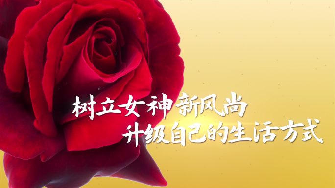 三八妇女节花瓣AE片头