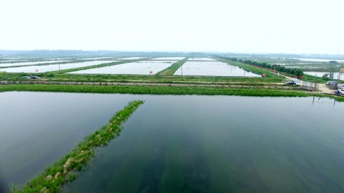 水产品鱼小龙虾养殖基地航拍基地