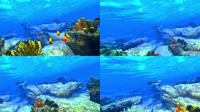 海底珊瑚礁动态背景素材
