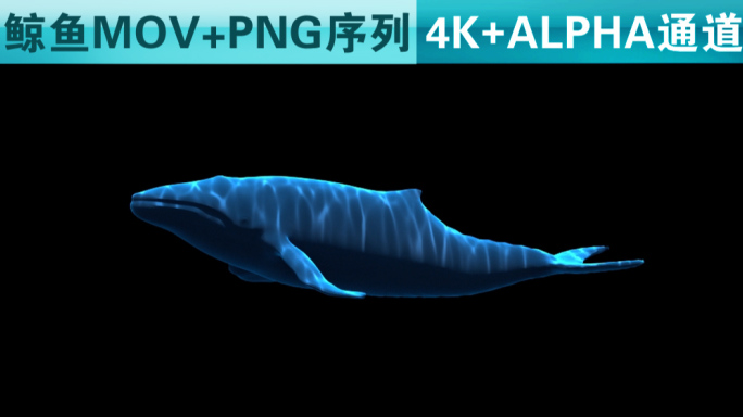 鲸鱼34+4k+带通道