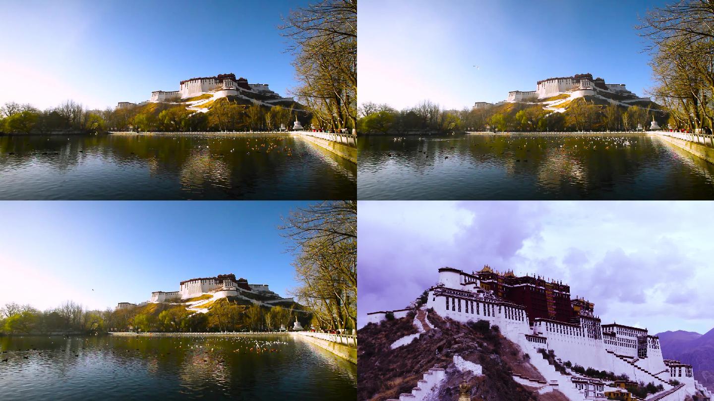 布达拉宫延时4k宫堡西藏
