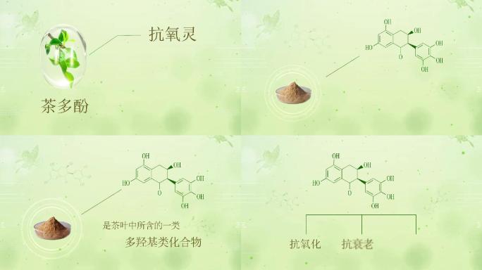 茶多酚