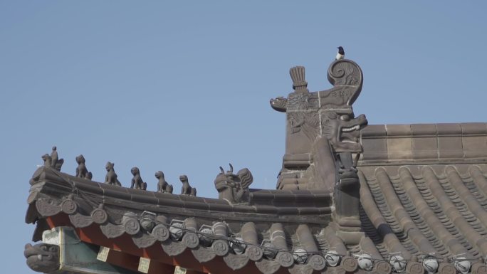 中国古建筑瓦片上站一只鸟