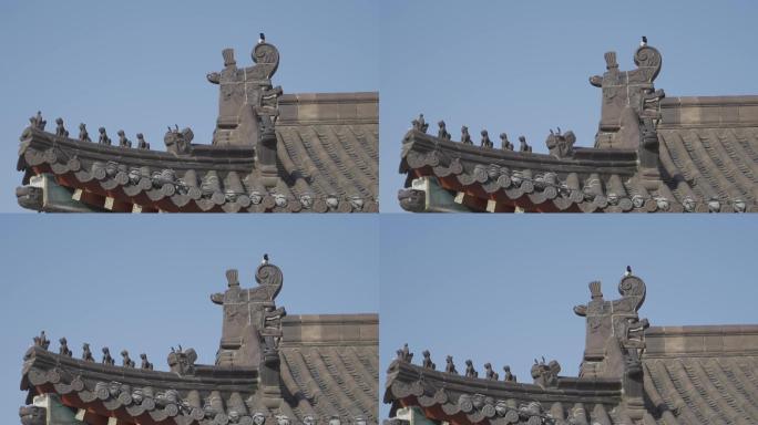 中国古建筑瓦片上站一只鸟