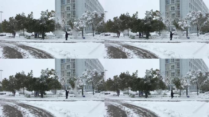 南方城市清扫树木积雪4k