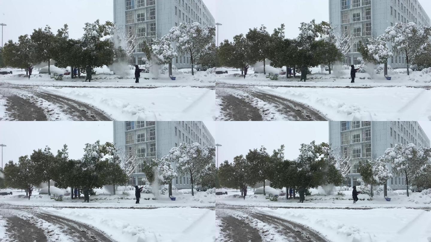 南方城市清扫树木积雪4k