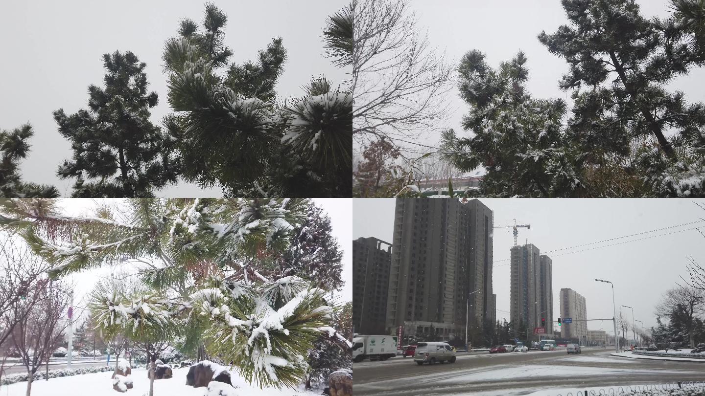 城市雪景