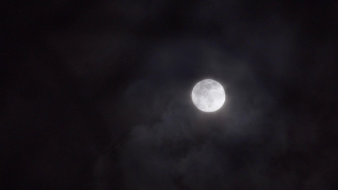 4K夜色月光树梢-月亮