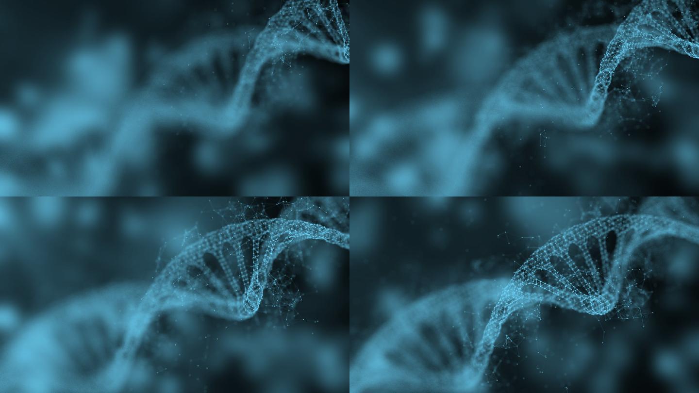 双螺旋DNA旋转