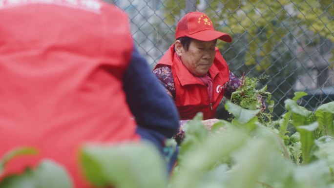 志愿者除草比心