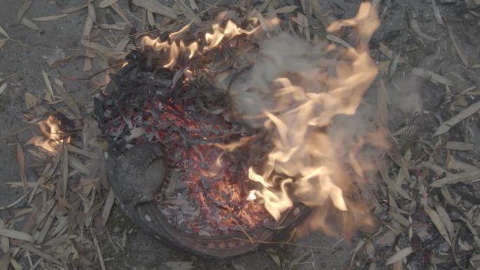 火烧树叶盆子火焰火素材火焰素
