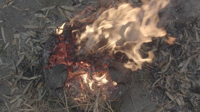 火烧树叶盆子火焰火素材火焰素