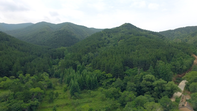 乌兰察布市凉城九龙山松林公园