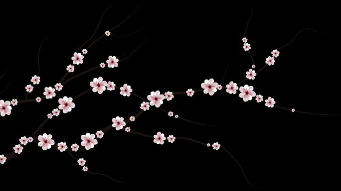 樱花生长可抠图带通道AE模板