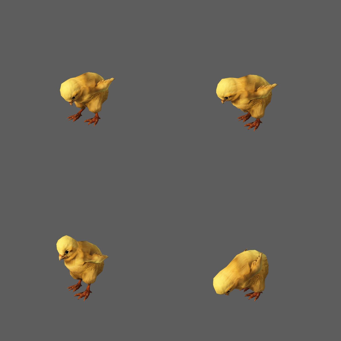 小鸡吃米——2K无损免扣动态素材