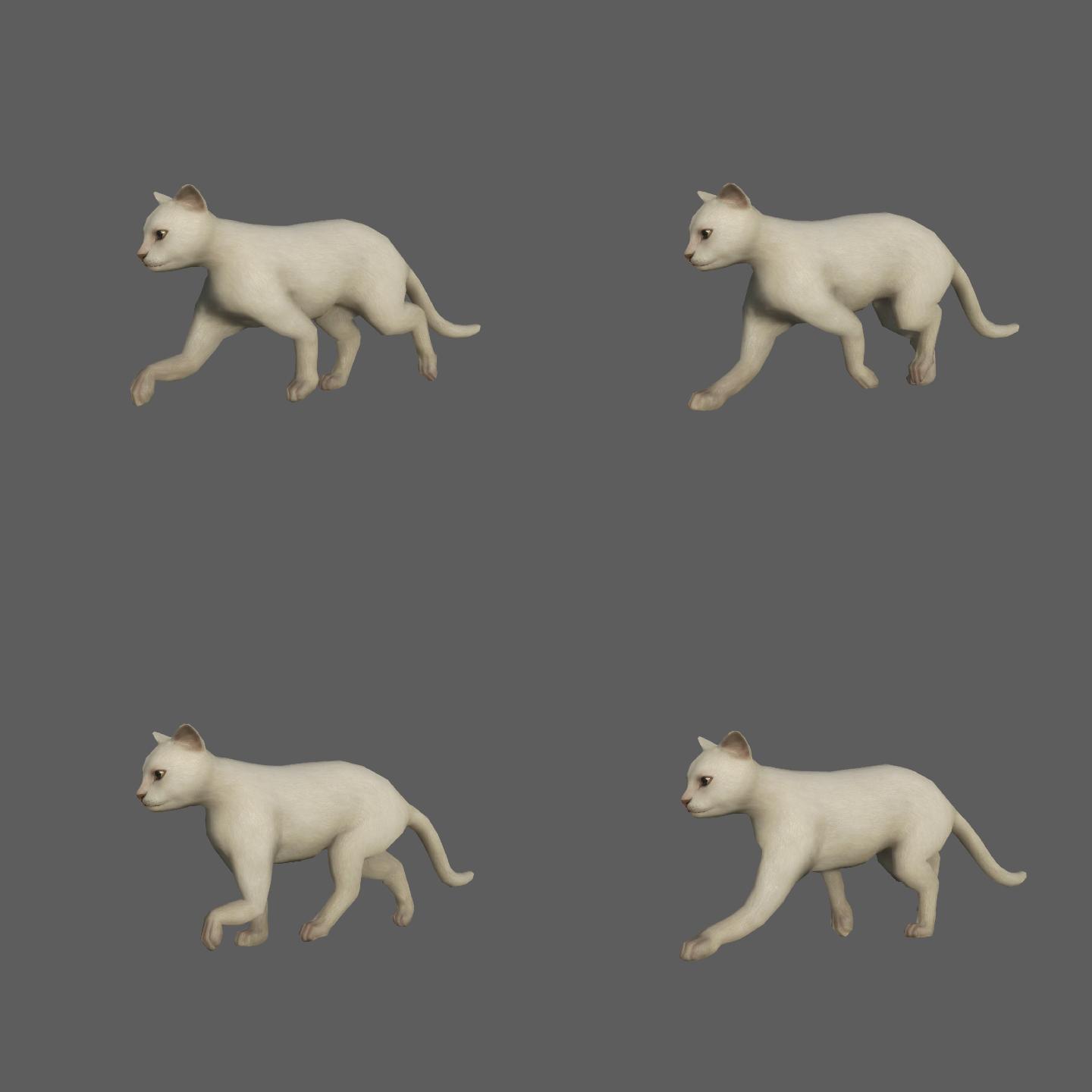 白猫——2K无损免扣动态素材