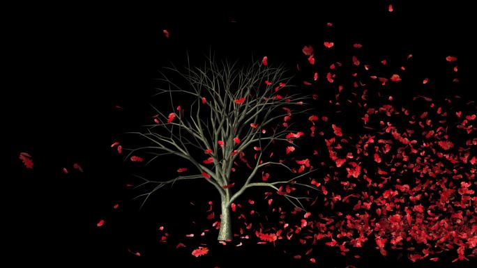 红色的落叶动画透明视频素材2K