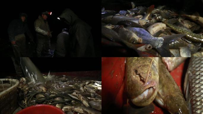 渔政打击非法捕鱼