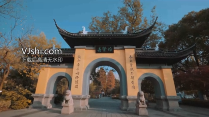 常州天宁区红梅公园航拍视频4K灰度log