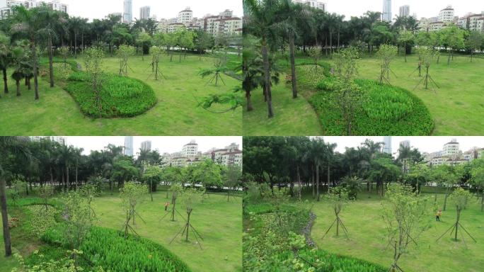 城市道路绿化美景航拍