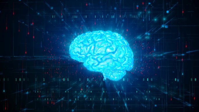 大脑大数据人工智能AI大脑