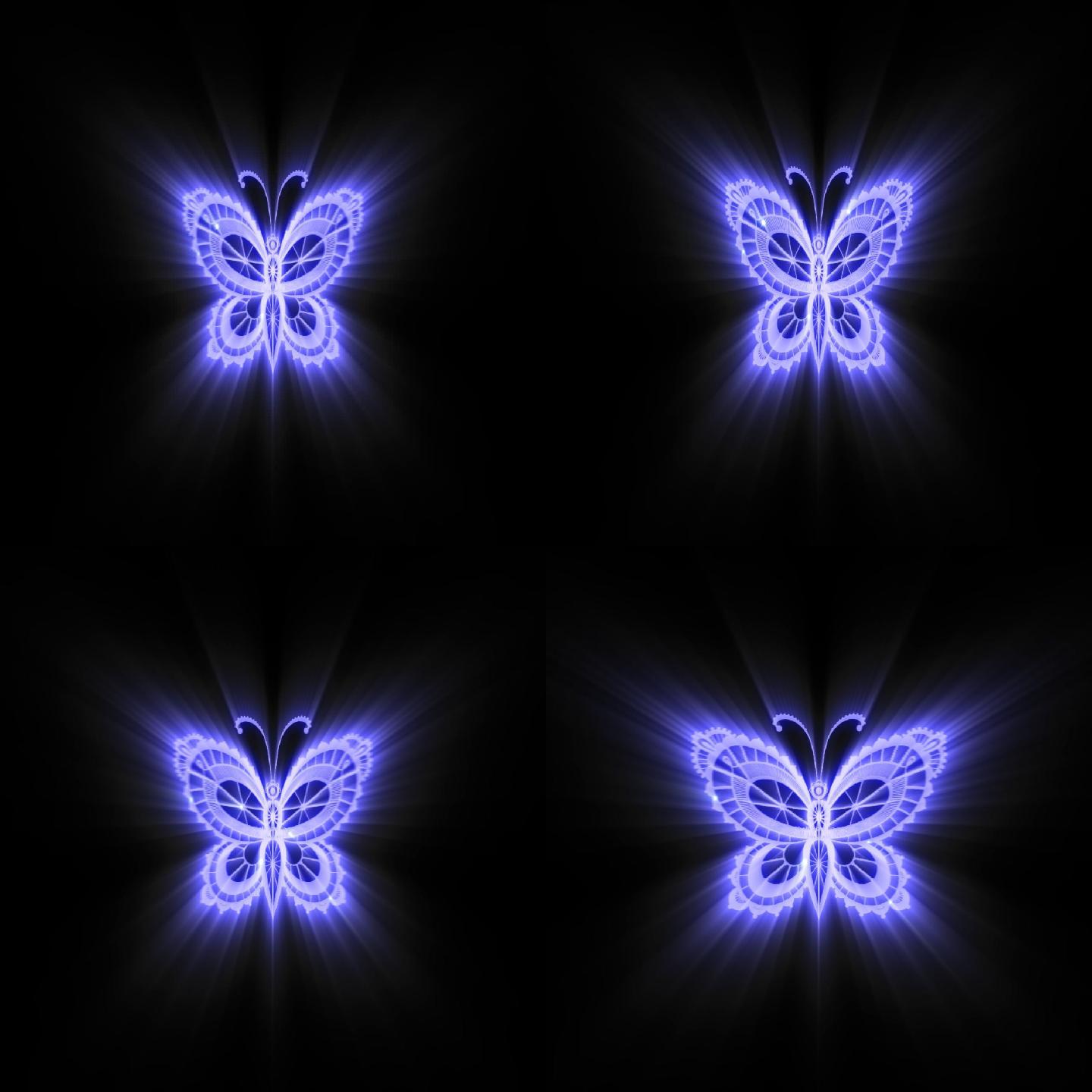 光影蝴蝶