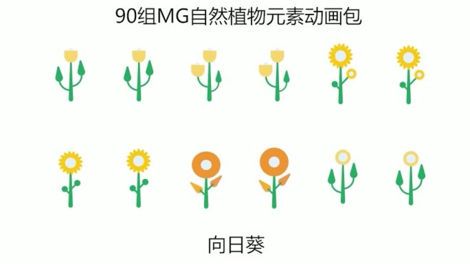 90组自然MG植物MG动画素材包