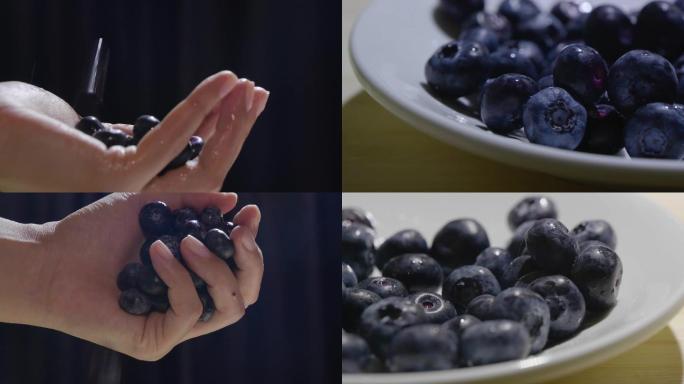 4K实拍蓝莓