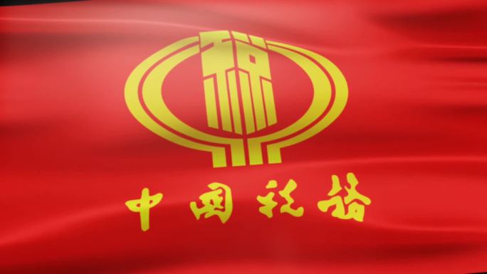 中国税务旗帜