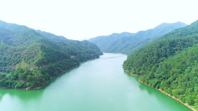 十万大山祖国森林山河绿水青山生态发展