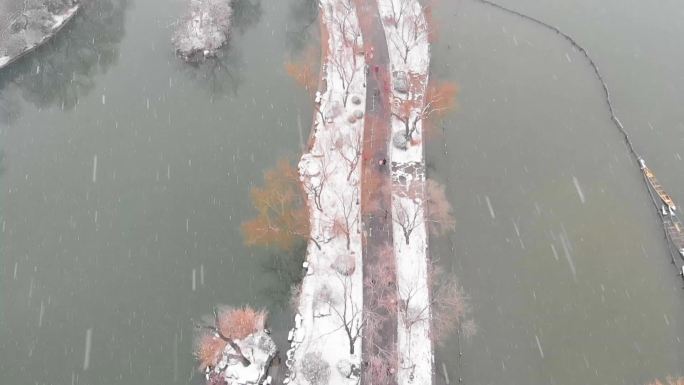 风雪大明湖