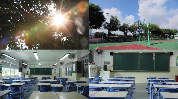 校园空境小清新学生阳光学习