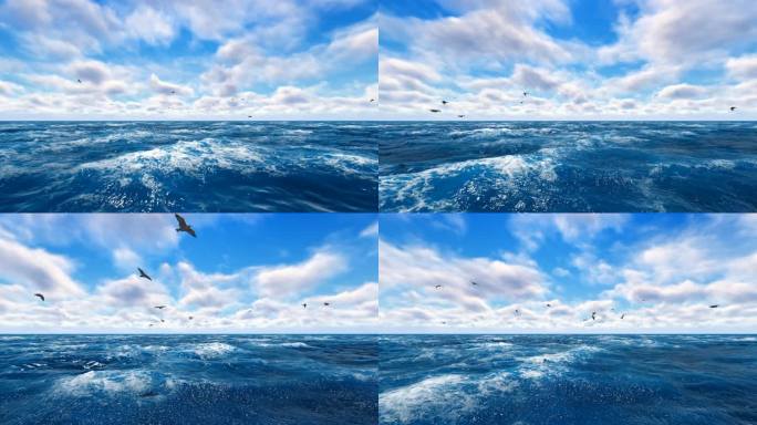 大海海鸥海鸟动画2