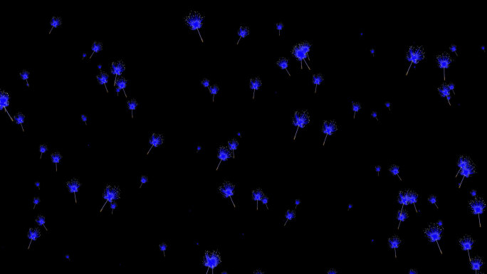 梦幻蓝色蒲公英飘散