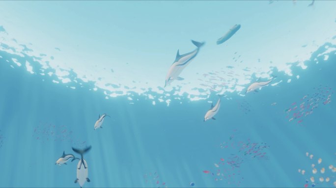 唯美海底世界海豚__4K无损超宽屏