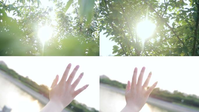 阳光手指树影斑驳阳光透过树叶